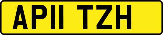 AP11TZH