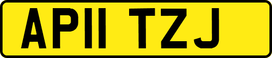 AP11TZJ
