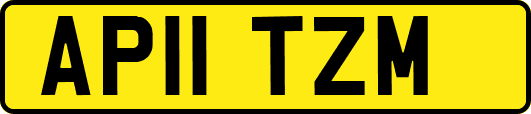AP11TZM