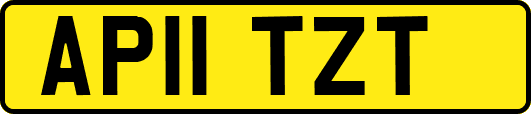 AP11TZT