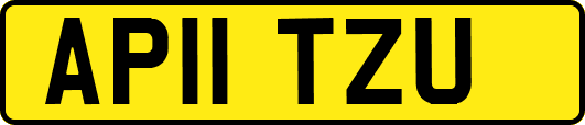 AP11TZU
