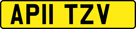 AP11TZV