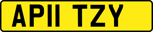 AP11TZY