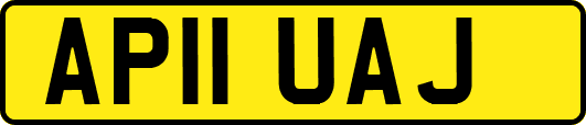 AP11UAJ