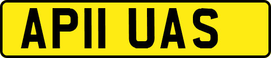 AP11UAS