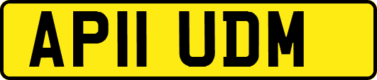AP11UDM