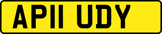 AP11UDY