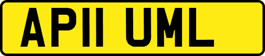 AP11UML