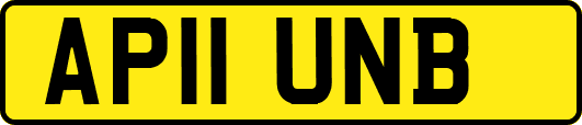 AP11UNB