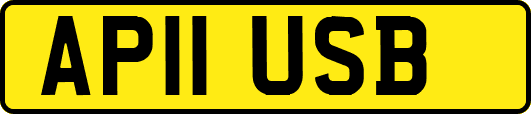 AP11USB