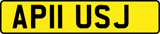 AP11USJ