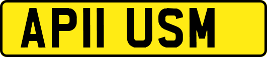 AP11USM