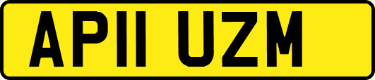 AP11UZM