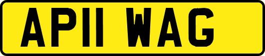 AP11WAG