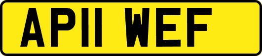 AP11WEF