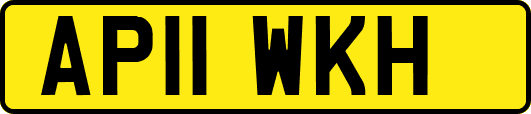 AP11WKH