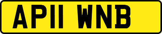 AP11WNB