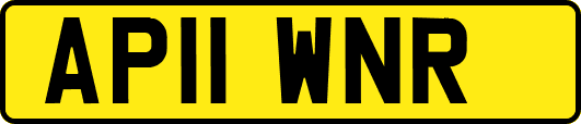 AP11WNR