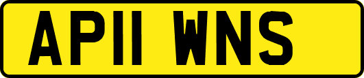 AP11WNS