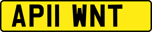 AP11WNT