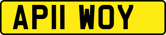 AP11WOY