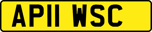 AP11WSC