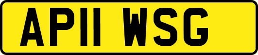 AP11WSG