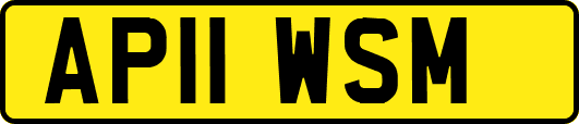 AP11WSM