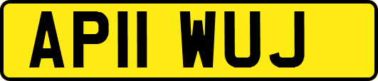 AP11WUJ