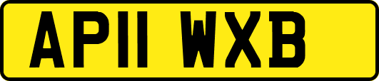 AP11WXB
