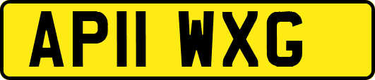 AP11WXG