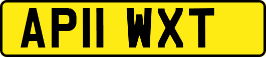 AP11WXT