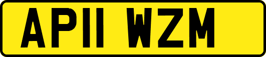 AP11WZM