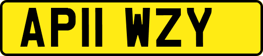 AP11WZY