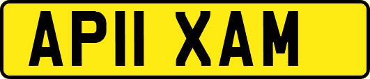 AP11XAM