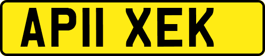 AP11XEK