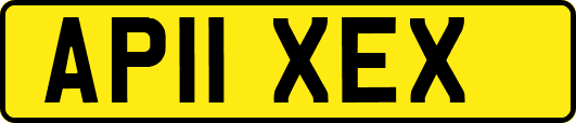 AP11XEX