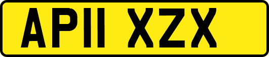 AP11XZX