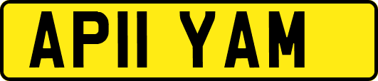 AP11YAM