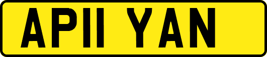 AP11YAN
