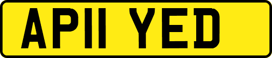 AP11YED