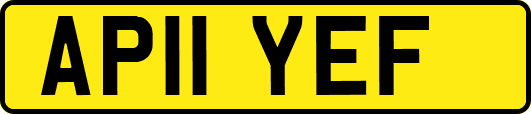 AP11YEF