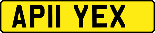 AP11YEX