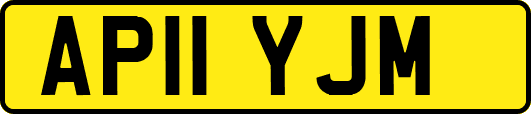 AP11YJM