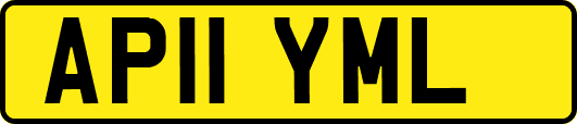 AP11YML