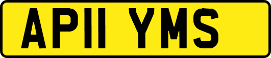 AP11YMS