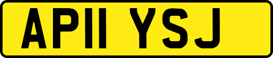 AP11YSJ
