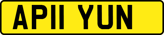 AP11YUN