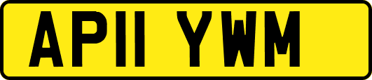 AP11YWM