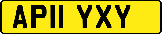 AP11YXY